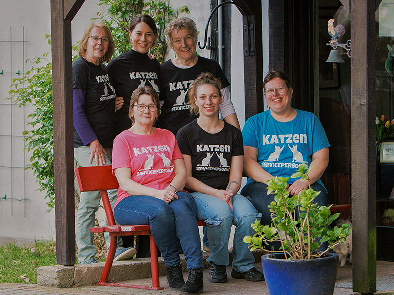 Katzenpension Hörstel-Riesenbeck